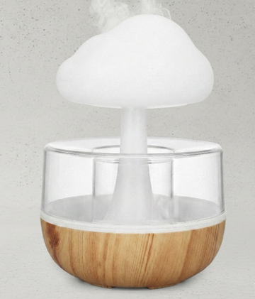 Rain Cloud Humidifier