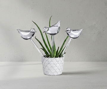 Bird Automatic Water Dispenser