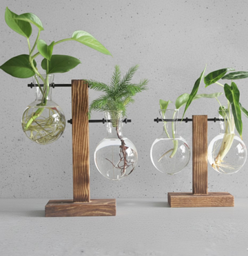 Glass Bulb Planter with Wooden Stand